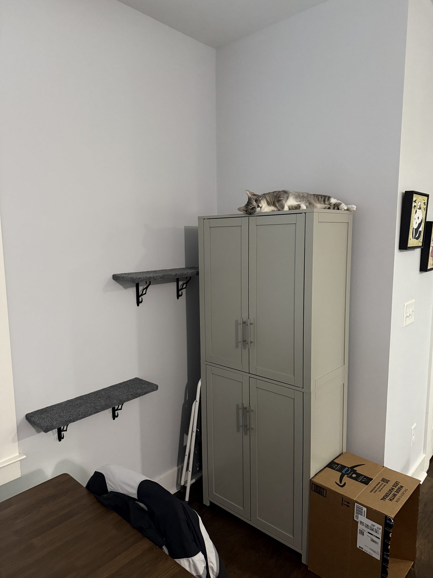 Floating shelves and storage cabinet assembly